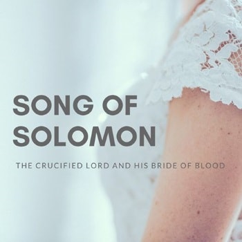 The Crucified Lord and his Bride of Blood