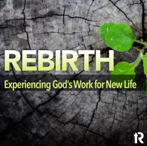 Re-Birth