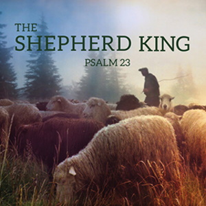 The Shepherd King